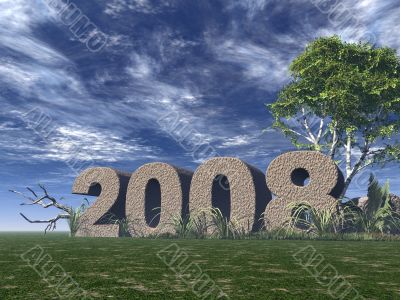 year 2008