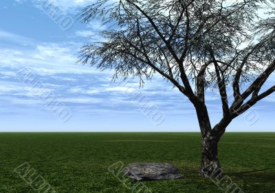tree and stone