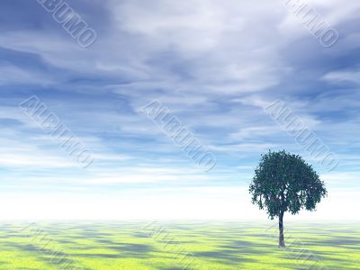 tree