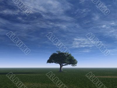 tree