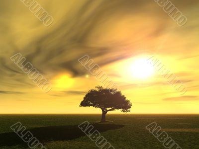 tree