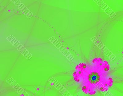 Violet Flower