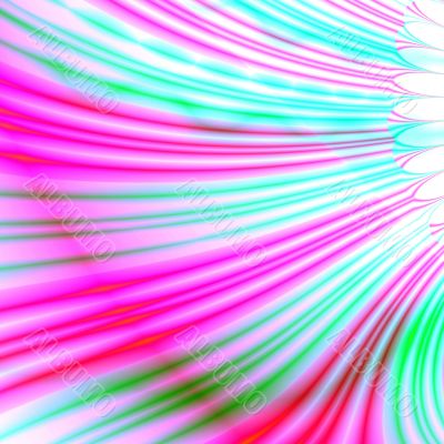 Flower Petal
