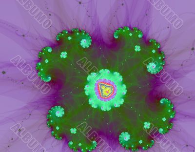 Violet Flower