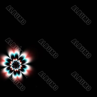 Daisy with copyspace