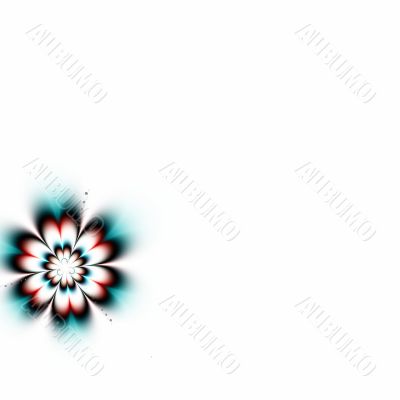 Daisy with copyspace