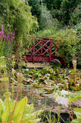 Teviot Water Gardens near Kelso