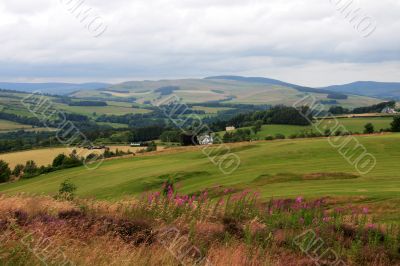 Lanscape near Selkirk