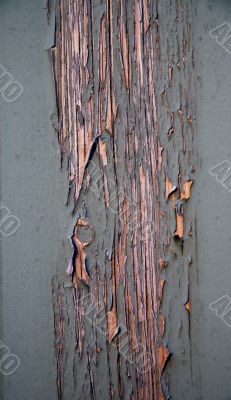 Peeling paint