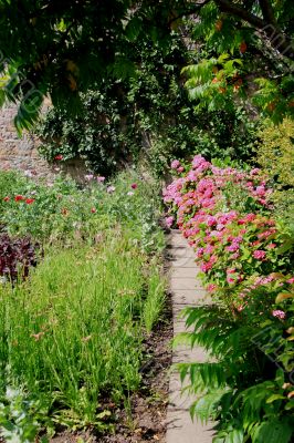 Priorswood Garden