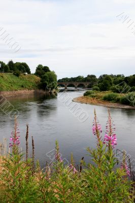 River Tweed in Coldstream.