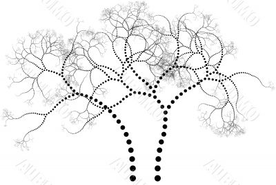 Ornamental tree