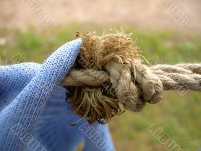 The knot