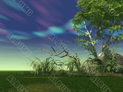 sky