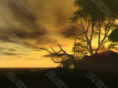 sunrise