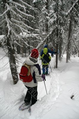 White parka, snowshoe hikers