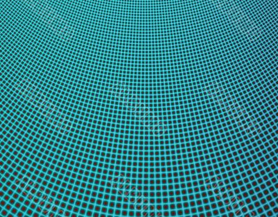 Fishing Net