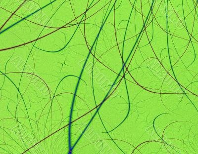 Green Leaf