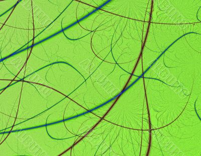 Leaf Macro