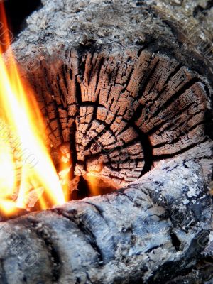 Closeup of log and flames