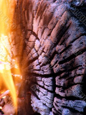 Closeup of log and flames