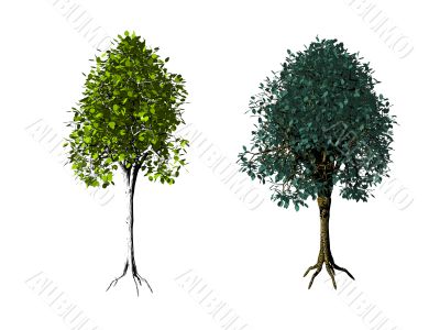 trees