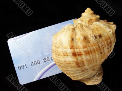 credit card with sea shell