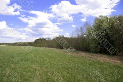 Green meadow