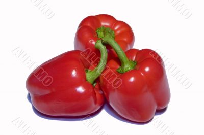 Three red sweet pepper