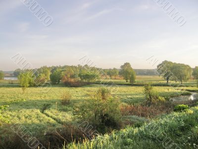 Daybreak Meadow