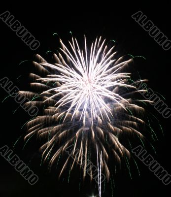 Night fireworks upon dark sky