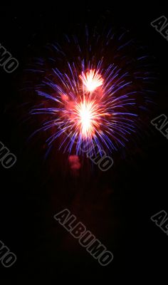 Night fireworks upon dark sky