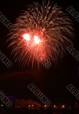 Night celebration fireworks upon dark sky
