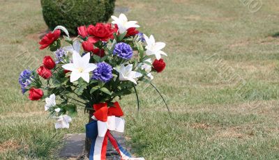 Red White and Blue Flowers