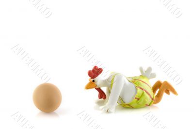 funny dressed chicken