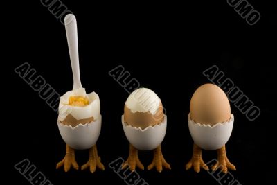 birdfeet with eggs