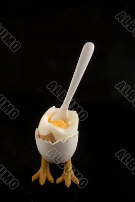 birdfeet with broken egg