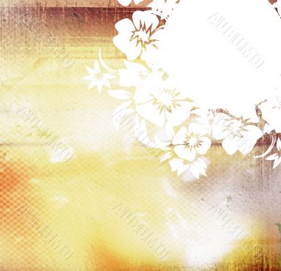floral style backgrounds frame