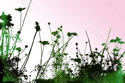 floral style textures