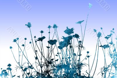 floral style textures