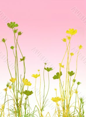 floral style textures