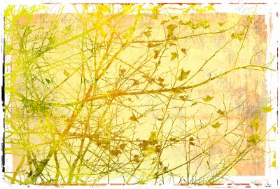 floral style textures