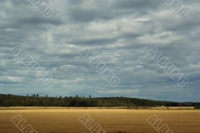 Rural landscape