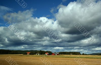 Rural landscape