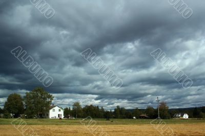 Rural landscape