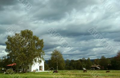Rural landscape