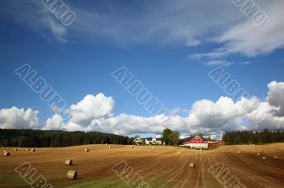 Rural landscape