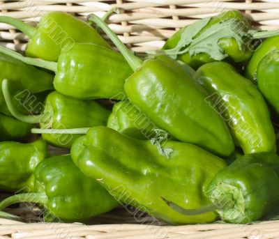 Hot Green Peppers In Basket