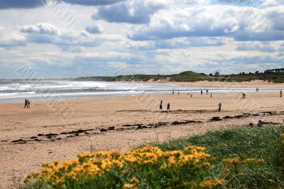 Beach at Alnmouth
