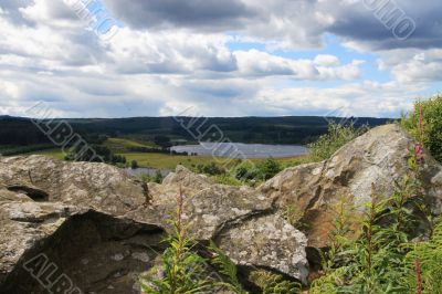 Kielder Water from Elk picnic site